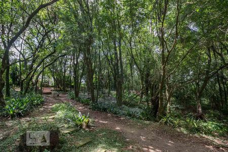 Casa de condomínio à venda com 220m², 3 quartos e 2 vagas Casa de condomínio à venda com 220m², 3 quartos e 2 vagasarea verde preservada