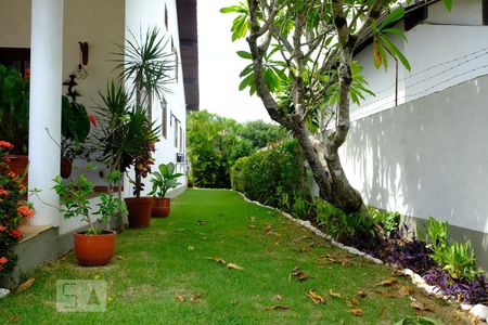 Casa à venda com 500m², 3 quartos e 2 vagasÁrea externa - corredor lateral