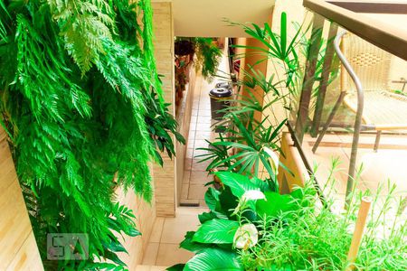 Casa à venda com 220m², 3 quartos e 2 vagas Casa à venda com 220m², 3 quartos e 2 vagasEscada