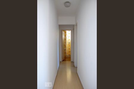 Corredor de apartamento para alugar com 2 quartos, 58m² em Butantã, São Paulo