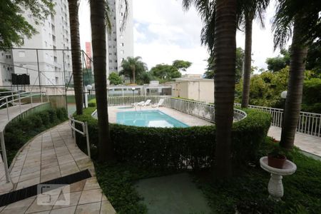 Apartamento à venda com 55m², 3 quartos e 1 vagaÁrea comum - Piscina