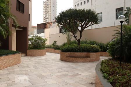 Apartamento para alugar com 86m², 3 quartos e 2 vagasÁrea comum