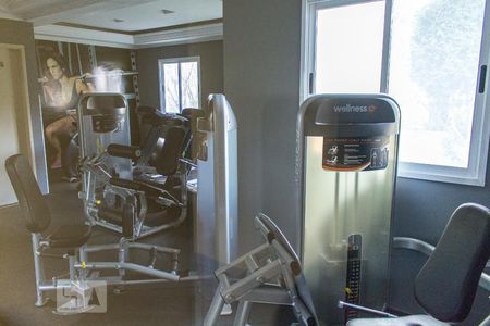 Apartamento para alugar com 50m², 2 quartos e 1 vaga Apartamento para alugar com 50m², 2 quartos e 1 vagaÁrea comum - Academia