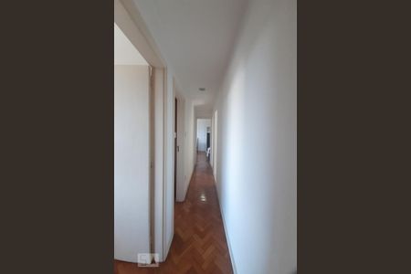 Apartamento à venda com 92m², 3 quartos e 1 vaga Apartamento à venda com 92m², 3 quartos e 1 vagaCorredor
