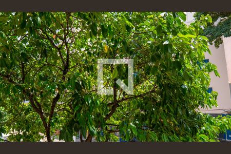 Apartamento para alugar com 92m², 1 quarto e sem vagaVista