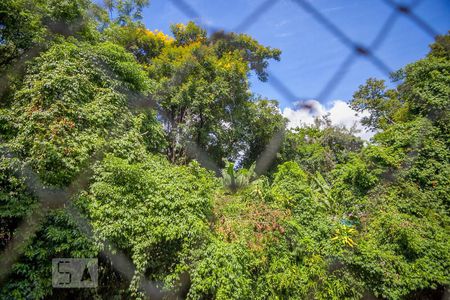 Apartamento à venda com 50m², 2 quartos e 1 vagaVista do Quarto 2