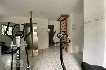 Apartamento para alugar com 403m², 3 quartos e 2 vagas Apartamento para alugar com 403m², 3 quartos e 2 vagasÁrea comum - Academia