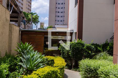 Apartamento à venda com 56m², 2 quartos e 1 vaga Apartamento à venda com 56m², 2 quartos e 1 vagaÁrea comum