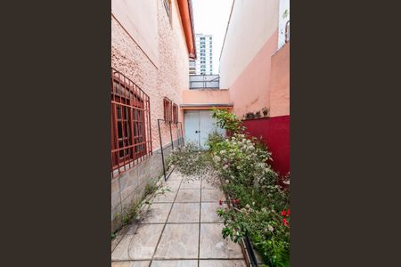 Casa à venda com 220m², 3 quartos e 3 vagasQuintal