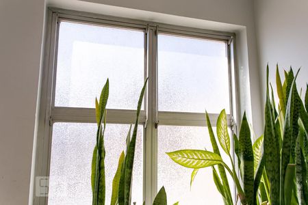 Apartamento à venda com 78m², 2 quartos e sem vagaDetalhe