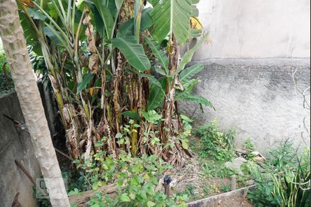 Casa à venda com 350m², 3 quartos e 1 vagaQuintal