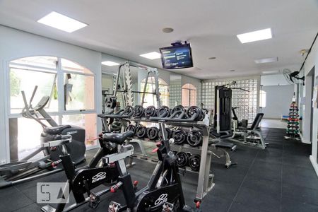 Apartamento para alugar com 165m², 3 quartos e 3 vagas Apartamento para alugar com 165m², 3 quartos e 3 vagasÁrea comum - Academia