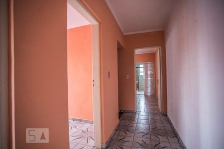 Corredor - Quartos de casa para alugar com 3 quartos, 227m² em Vila Santa Catarina, São Paulo