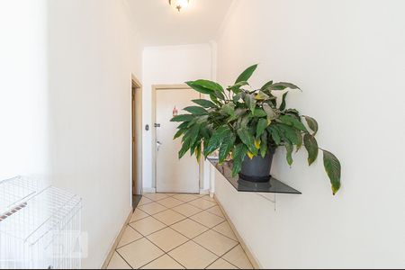 Corredor de apartamento à venda com 2 quartos, 120m² em Bela Vista, São Paulo