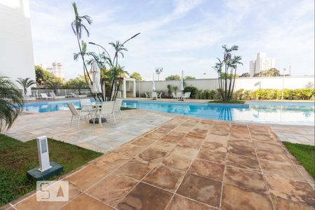 Apartamento à venda com 80m², 3 quartos e 2 vagas Apartamento à venda com 80m², 3 quartos e 2 vagasPiscina