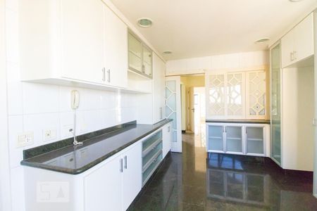 Apartamento à venda com 257m², 4 quartos e 6 vagasCozinha