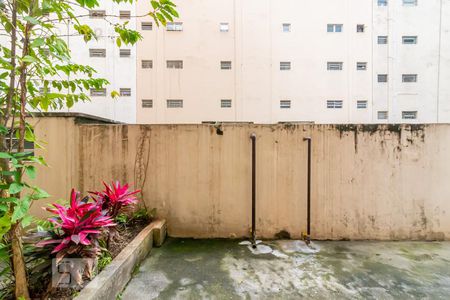 Vista da Sala de apartamento para alugar com 2 quartos, 53m² em Vila Mariana, São Paulo