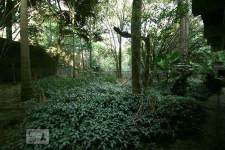 Casa à venda com 1300m², 5 quartos e 6 vagasJardim