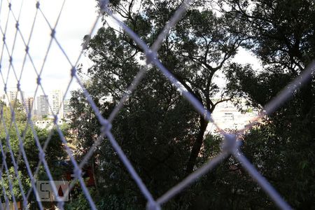 Vista do Quarto 1 de apartamento para alugar com 2 quartos, 40m² em Vila Andrade, São Paulo