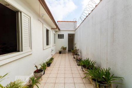 Casa para alugar com 310m², 5 quartos e 2 vagas Casa para alugar com 310m², 5 quartos e 2 vagasQuintal