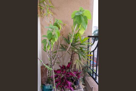 Apartamento à venda com 106m², 4 quartos e 2 vagas Apartamento à venda com 106m², 4 quartos e 2 vagasVaranda