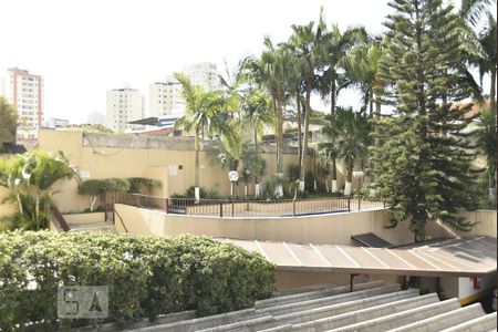 Apartamento à venda com 61m², 3 quartos e 1 vagaVista da varanda - piscina