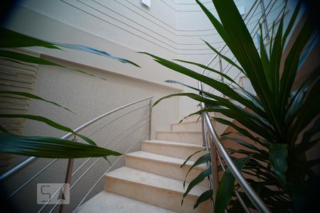 Casa à venda com 500m², 5 quartos e 5 vagasEscada para o segundo andar