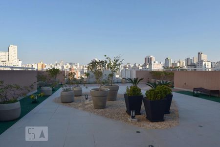 Apartamento para alugar com 35m², 2 quartos e sem vagaÁrea Comum