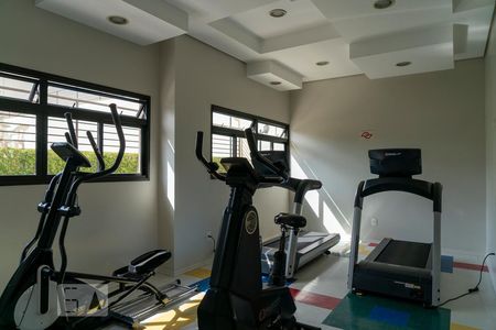 Apartamento à venda com 261m², 4 quartos e 3 vagasÁrea comum - Academia