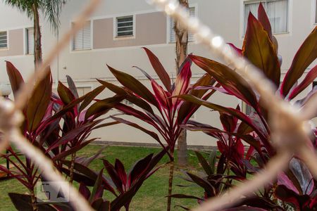 Vista - Sala de apartamento para alugar com 1 quarto, 40m² em Parque São Sebastião, Ribeirão Preto