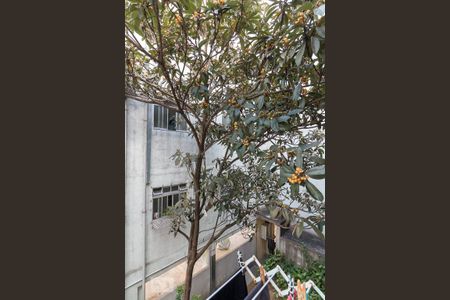 Apartamento à venda com 59m², 2 quartos e 2 vagasVista área de serviço