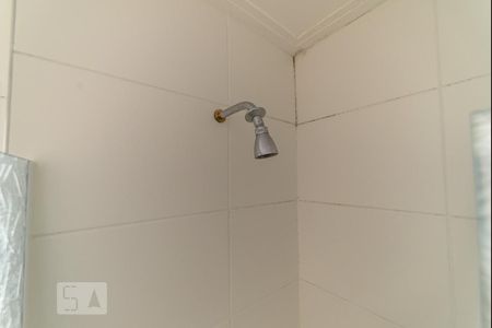 Apartamento para alugar com 135m², 4 quartos e 2 vagas Apartamento para alugar com 135m², 4 quartos e 2 vagasBanheiro da Suíte 1 - Chuveiro