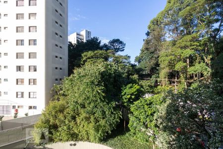 Apartamento à venda com 211m², 4 quartos e 3 vagasVista Quarto 2