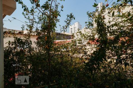 Casa à venda com 230m², 6 quartos e 2 vagasQuarto 2