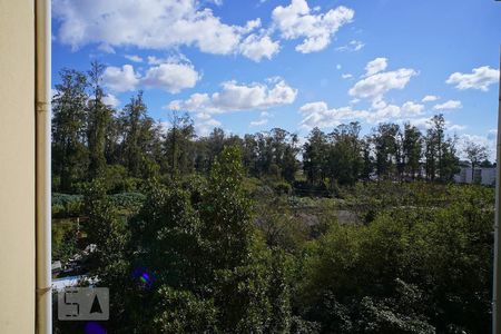 Sala - vista de apartamento para alugar com 2 quartos, 38m² em Mário Quintana, Porto Alegre
