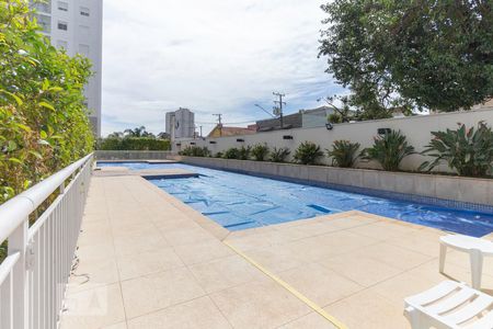 Apartamento à venda com 65m², 2 quartos e 1 vagaÁrea comum - Piscina
