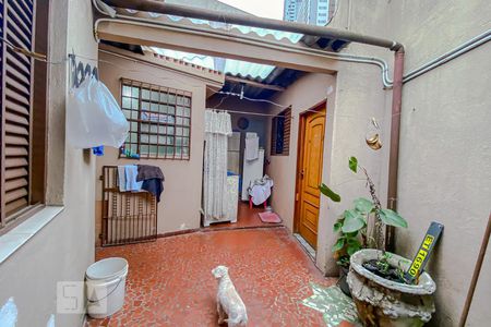 Casa à venda com 220m², 3 quartos e 2 vagasQuintal