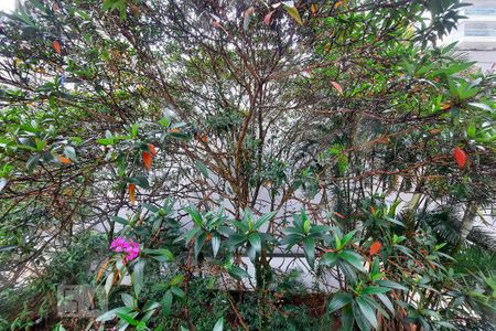 Apartamento à venda com 228m², 4 quartos e 3 vagas Apartamento à venda com 228m², 4 quartos e 3 vagasVista