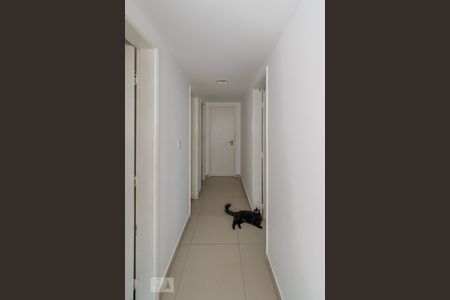 Corredor de apartamento para alugar com 3 quartos, 100m² em Penha Circular, Rio de Janeiro