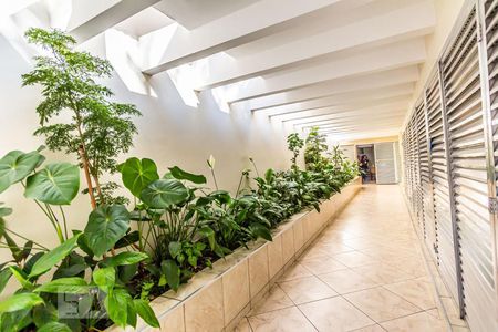 Apartamento para alugar com 87m², 2 quartos e sem vaga Apartamento para alugar com 87m², 2 quartos e sem vagaÁrea externa