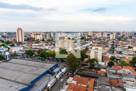Vista da Sacada de apartamento para alugar com 3 quartos, 81m² em Vila Santa Catarina, São Paulo