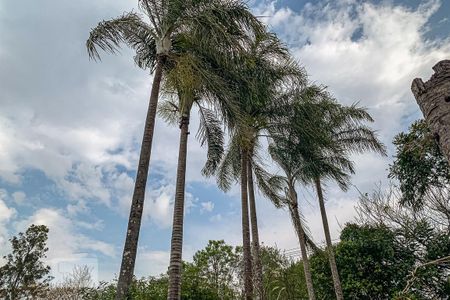 Casa à venda com 1000m², 5 quartos e 4 vagas Casa à venda com 1000m², 5 quartos e 4 vagasÁrea Externa