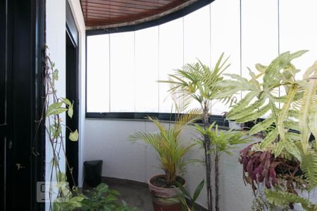 Apartamento à venda com 150m², 3 quartos e 3 vagas Apartamento à venda com 150m², 3 quartos e 3 vagasVaranda Sala de TV