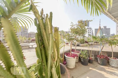 Apartamento para alugar com 36m², 2 quartos e sem vaga Apartamento para alugar com 36m², 2 quartos e sem vagaVista do Quarto 2