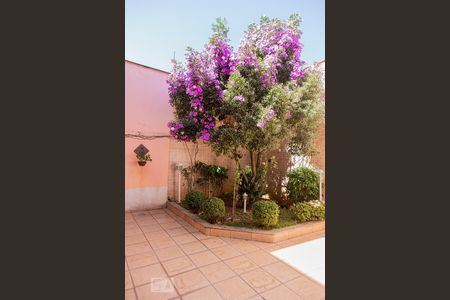 Casa à venda com 315m², 4 quartos e 3 vagas Casa à venda com 315m², 4 quartos e 3 vagasQuintal 2