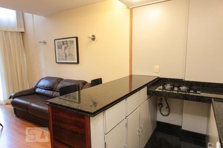 Apartamento para alugar com 48m², 1 quarto e sem vaga Apartamento para alugar com 48m², 1 quarto e sem vagaCozinha