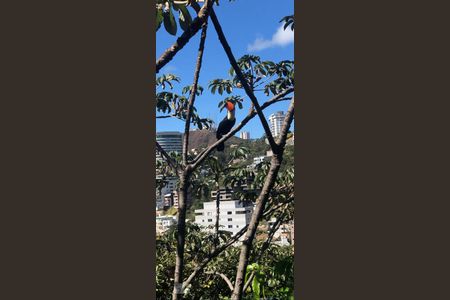 Casa à venda com 290m², 4 quartos e 1 vagaQuintal