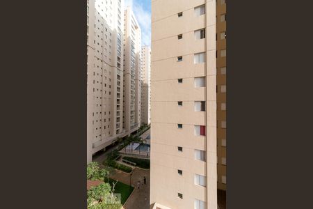 Apartamento à venda com 115m², 3 quartos e 2 vagasVista quarto 2