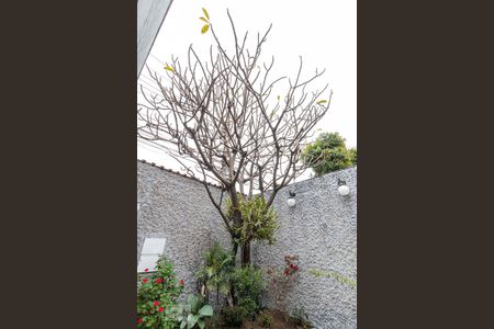 Casa à venda com 175m², 2 quartos e 2 vagas Casa à venda com 175m², 2 quartos e 2 vagasGaragem/Quintal Frontal - Detalhe