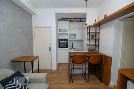 Sala de apartamento à venda com 2 quartos, 42m² em Flamengo, Rio de Janeiro